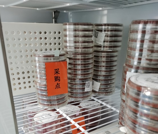 1672726502224248.png 图片3.png