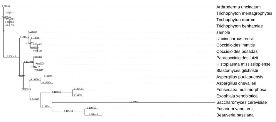 1678351562177252.jpg ΢ÐÅͼƬ_20230309164327.jpg