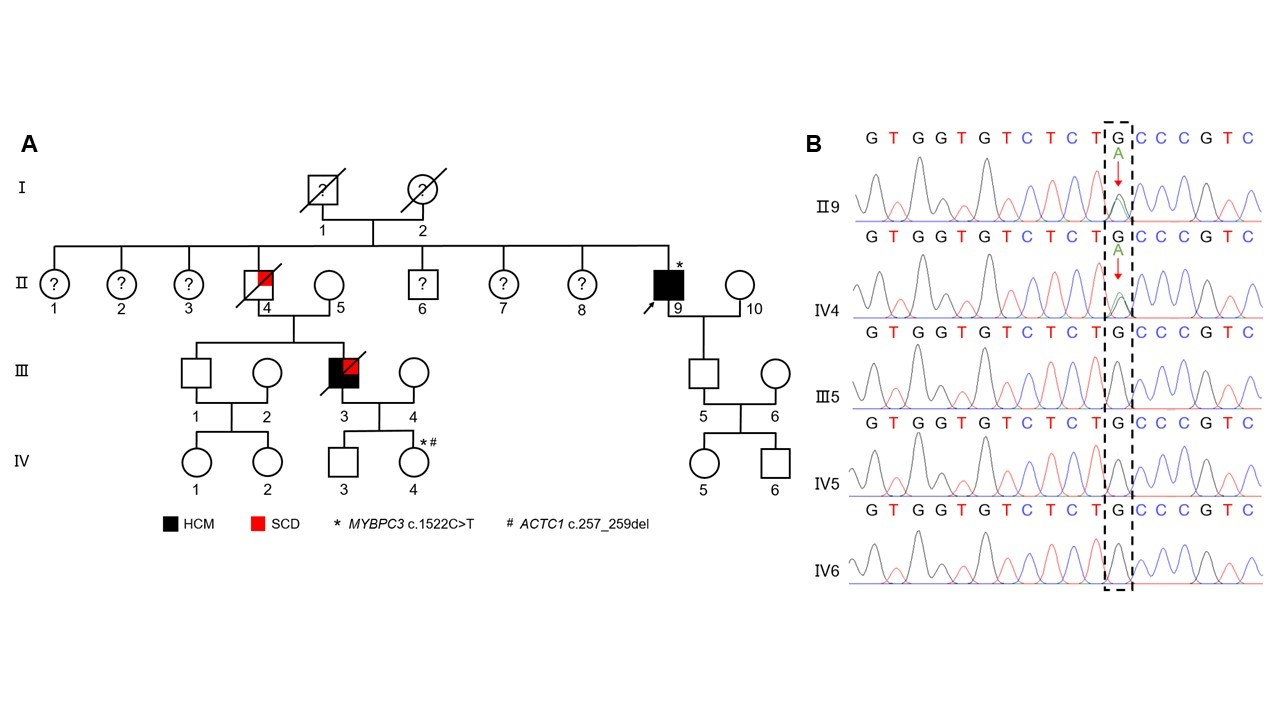 1687658677155500.png ͼƬ 3.png