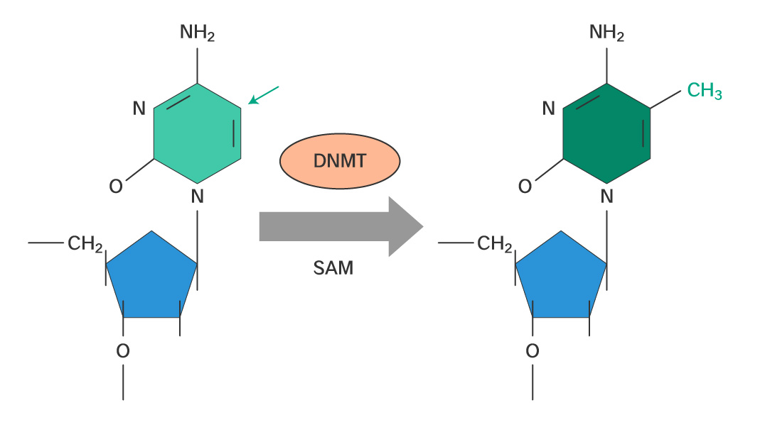 1693458983819451.png ͼƬ1.png